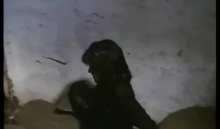 청소년,부부,큰가슴,큰 엉덩이 포르노 영상과 함께 여대생 테일러