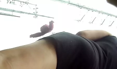 섹시한 공주 학생들은 포르노에 대한 무료 선택됩니다